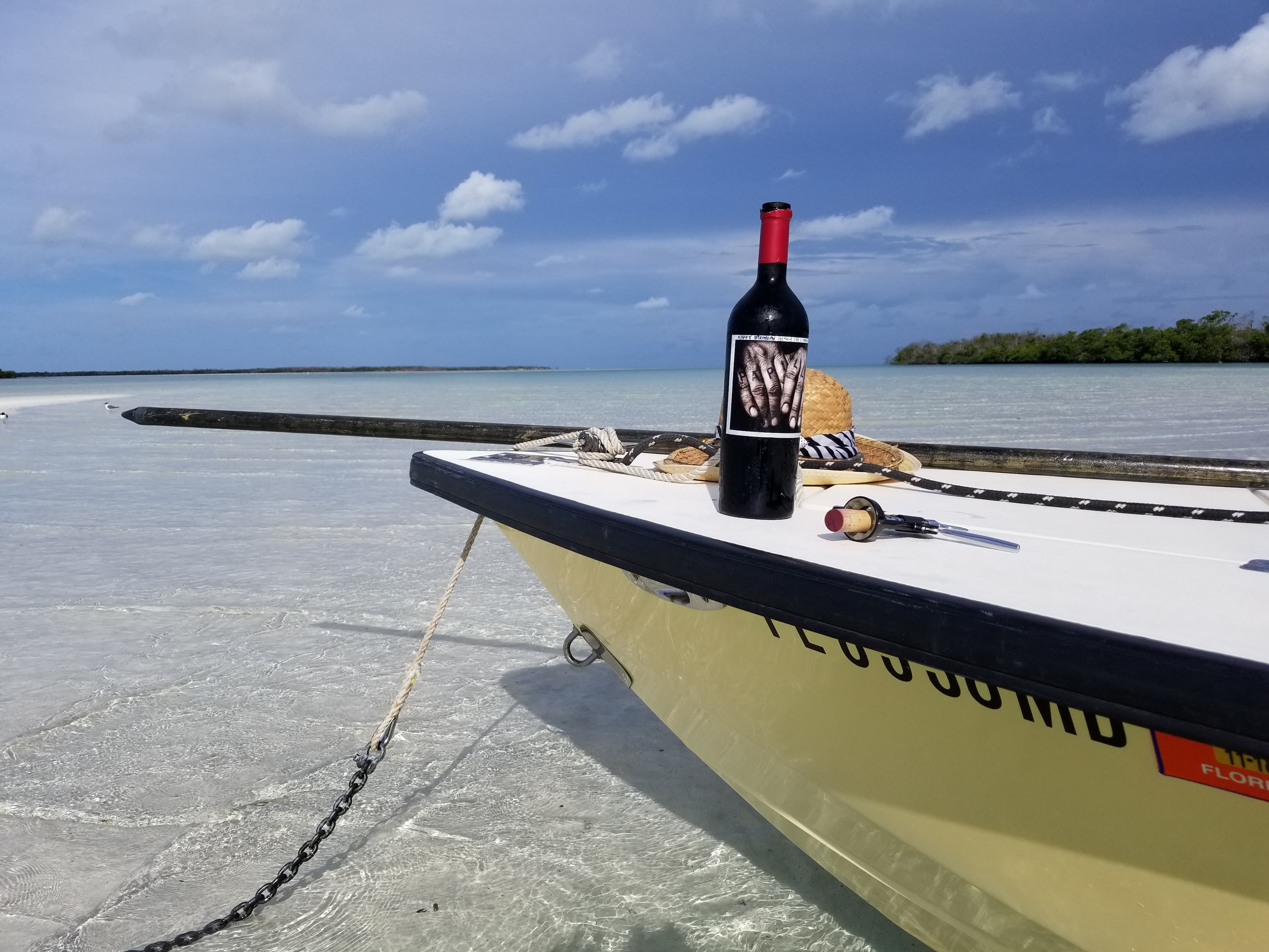Papillon on the sandbar