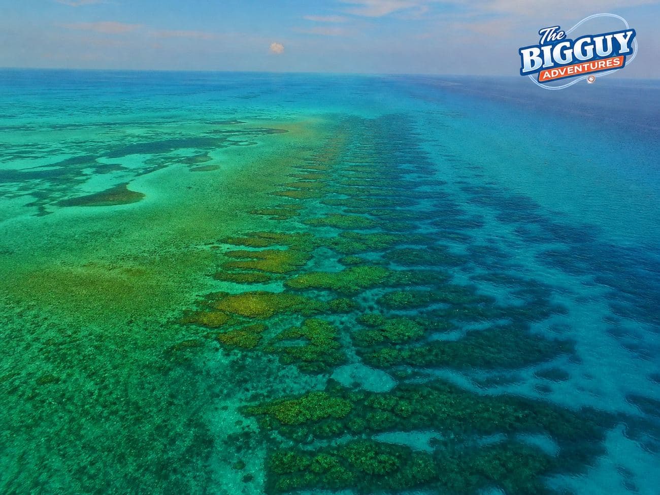Reef & Wreck
